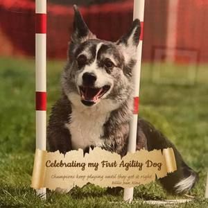 Meet your Posher, Kris